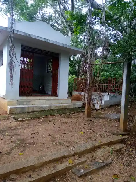 Arulmigu Kaliyuga Peyyanayinaar Temple, Kanavaipatti - 624308 அருள்மிகு பெய்யநயினார் திருக்கோவில், Kanavaipatti - 624308, Dindigul - Ancient Temple Architecture and History Image 4