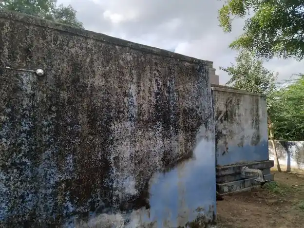 Arulmigu Kaliyuga Varadha Vinayagar Temple, Kaliyavur - 628601 அருள்மிகு கலியுக வரதர் விநாயகர் திருக்கோயில், கலியுக வரதர் விநாயகர் தெரு, Kaliyavur - 628601, Thoothukudi - Ancient Temple Architecture and History Image 5