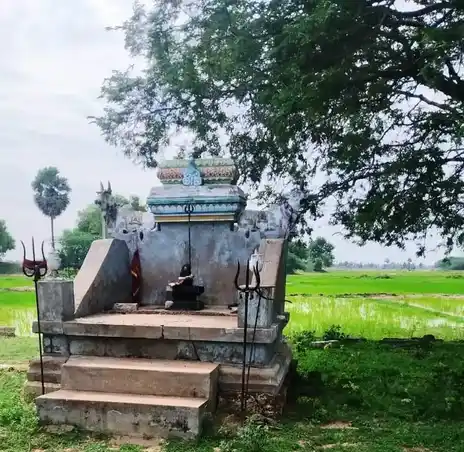 Arulmigu Kaliyuganayagi Amman Temple, Sethoor - 630709 Arulmigu Kaliyuganayagi Amman Temple, Sethoor - 630709, Sivagangai - Ancient Temple Architecture and History Image 3