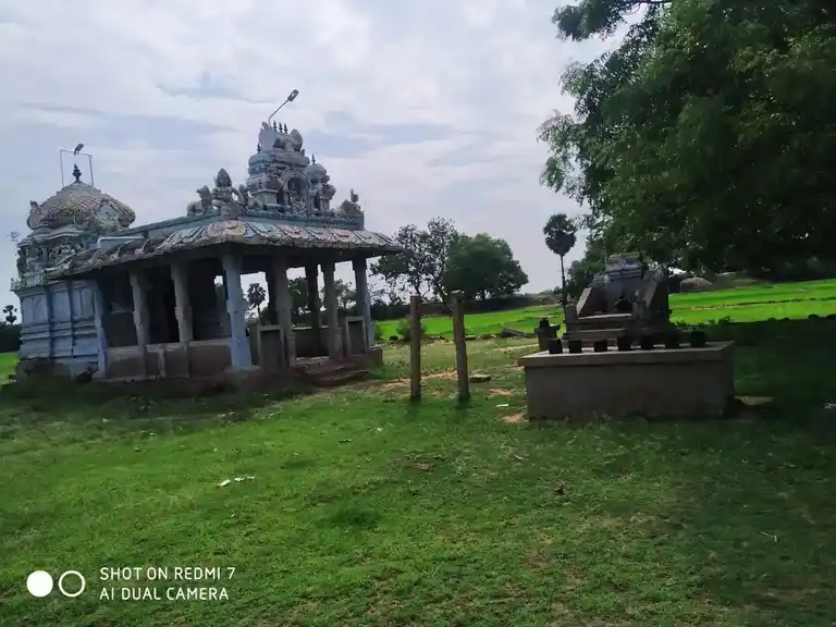 Arulmigu Kaliyuganayagi Amman Temple, Sethoor - 630709 Arulmigu Kaliyuganayagi Amman Temple, Sethoor - 630709, Sivagangai - Ancient Temple Architecture and History Image 5