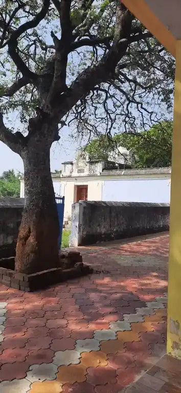 Arulmigu Kalkulam Pillayar Temple, Near Govt. H.S. School, Chenbagaramanputhoor - 629301 அருள்மிகு கல்குளம் பிள்ளையார் திருக்கோயில், Near Govt. H.S. School, Chenbagaramanputhoor - 629301, Kanyakumari - Ancient Temple Architecture and History Image 10