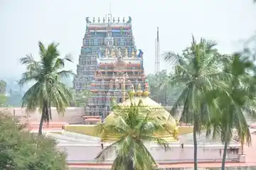 Arulmigu Kallalagar Temple, Alagarkovil - 625301 அருள்மிகு கள்ளழகர் திருக்கோயில், அழகர்கோயில் - 625301, Madurai - Ancient Temple Architecture and History Image 4