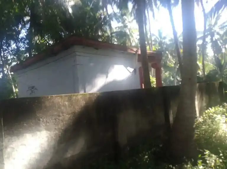 Arulmigu Kallambala Vinayagar Temple, Vembanoor - 629801 அருள்மிகு கல்லம்பல விநாயகர் திருக்கோயில், Vembanoor - 629801, Kanyakumari - Ancient Temple Architecture and History Image 3