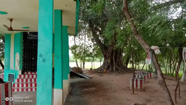 Arulmigu Kallarai Ventra Karuppansamy Temple, Kallurani - 630559 Arulmigu Kallarai Ventra Karuppansamy Temple, Kallurani - 630559, Sivagangai - Ancient Temple Architecture and History Image 3