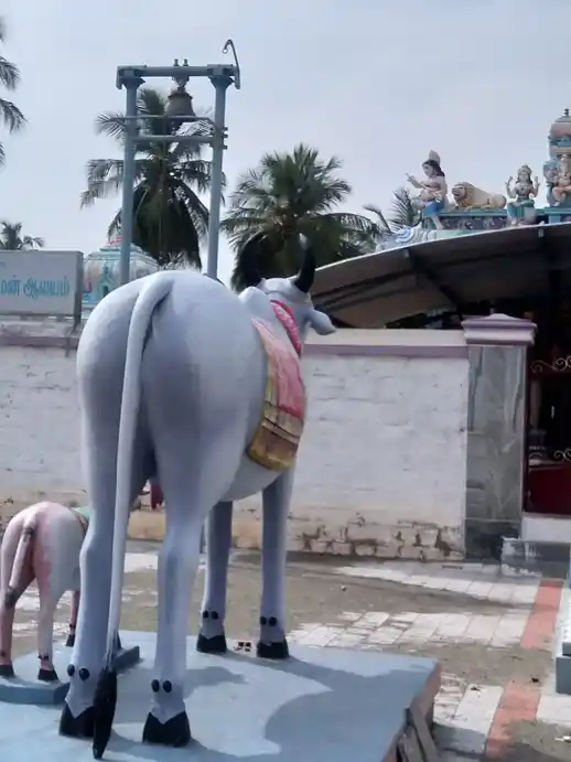 Arulmigu Kalliamman Temple, Irukkur - 637204 அருள்மிகு காளியம்மன் திருக்கோயில், Irukkur - 637204, Namakkal - Ancient Temple Architecture and History Image 5