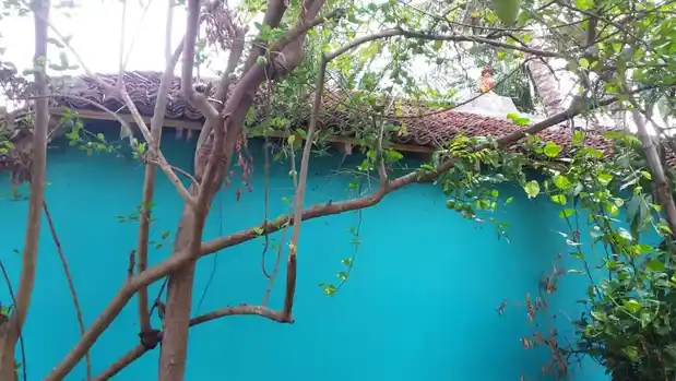 Arulmigu Kalliamman Temple, K.Thenpathi - 608301 அருள்மிகு காளியம்மன் திருக்கோயில், K.Thenpathi - 608301, Cuddalore - Ancient Temple Architecture and History Image 2