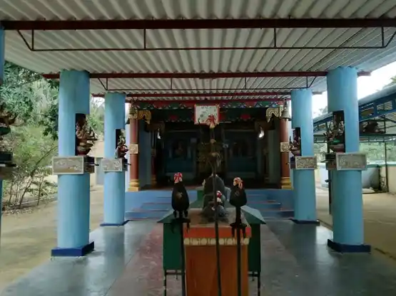 Arulmigu Kalliammn Temple, Near Bus Stop, Kodungyam - 642207 அருள்மிகு காளியம்மன் திருக்கோயில், Near Bus Stop, Kodungyam - 642207, Tiruppur - Ancient Temple Architecture and History Image 4