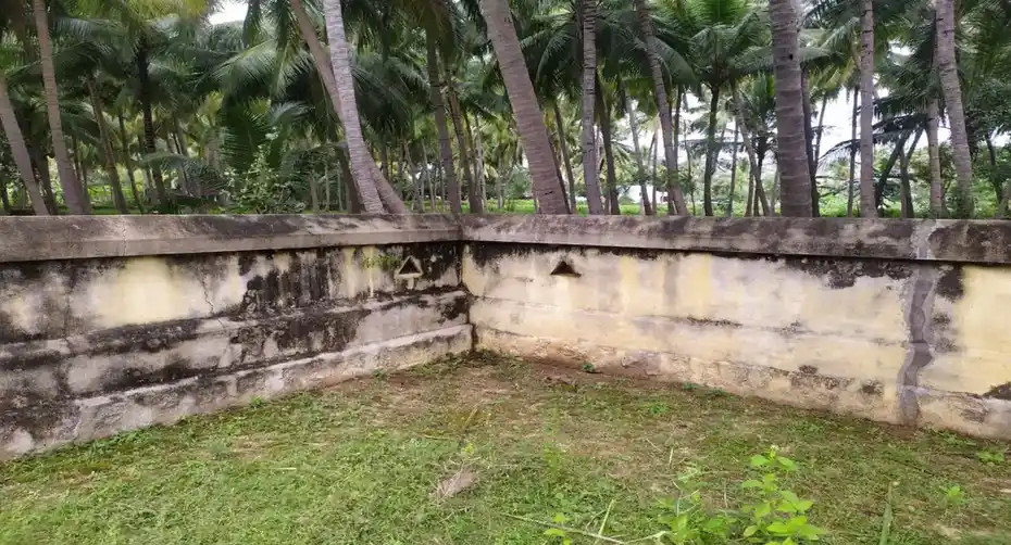 Arulmigu Kalliyamman Temple, Thattaparai - 632601 அருள்மிகு காளியம்மன் திருக்கோயில், தட்டப் பாரை - 632601, Vellore - Ancient Temple Architecture and History Image 4