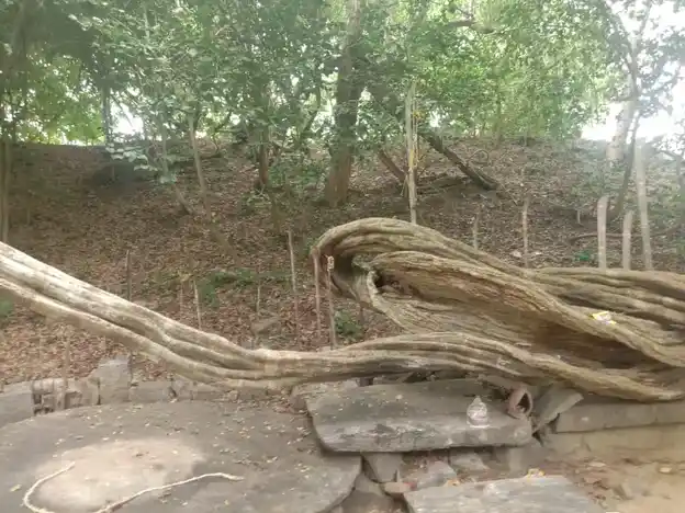 Arulmigu Kallukatti Karuppanaswamy Temple, Thonthilingapuram - 625103