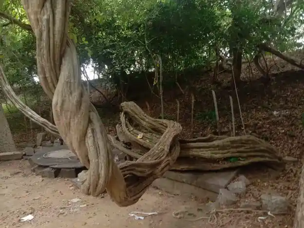 Arulmigu Kallukatti Karuppanaswamy Temple, Thonthilingapuram - 625103 அருள்மிகு கல்லுகட்டி கருப்பணசுவாமி கோயில், Thonthilingapuram - 625103, Madurai - Ancient Temple Architecture and History Image 2