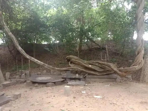 Arulmigu Kallukatti Karuppanaswamy Temple, Thonthilingapuram - 625103 அருள்மிகு கல்லுகட்டி கருப்பணசுவாமி கோயில், Thonthilingapuram - 625103, Madurai - Ancient Temple Architecture and History Image 3