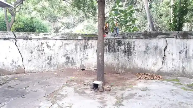 Arulmigu Kalvatharayee Pattatharasi Amman Temple, Sundaraperumaltemple, Sundaraperumalkoil - 614208 அருள்மிகு கந்தவராய அய்யனார் பட்டதரசியம்மன் திருக்கோயில், சுந்தர பெருமாள் கோயில், Sundaraperumalkoil - 614208, Thanjavur - Ancient Temple Architecture and History Image 4