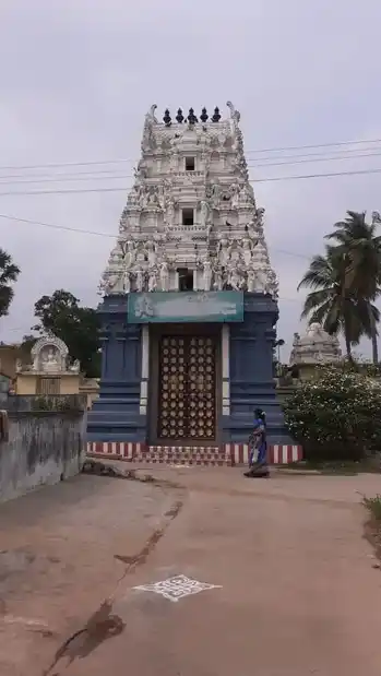 Arulmigu Kalyana Varatharaja Perumal Temple, Sholinghur, Melputhupakkam - 632318