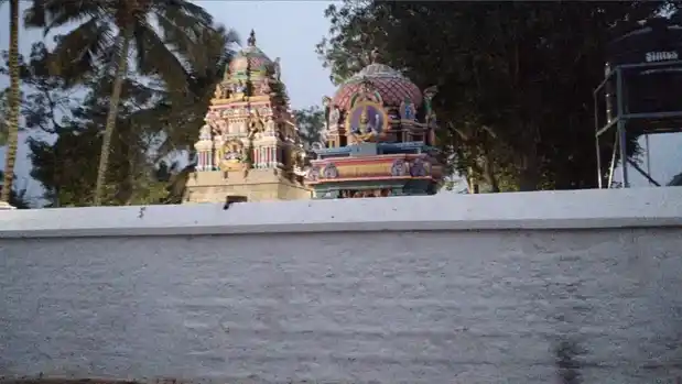 Arulmigu Kalyana Vengathramanasamy Temple, Peedampalli - 641016 அருள்மிகு கல்யாணவெங்கட்ரமணசாமி திருக்கோயில், Peedampalli - 641016, Coimbatore - Ancient Temple Architecture and History Image 5