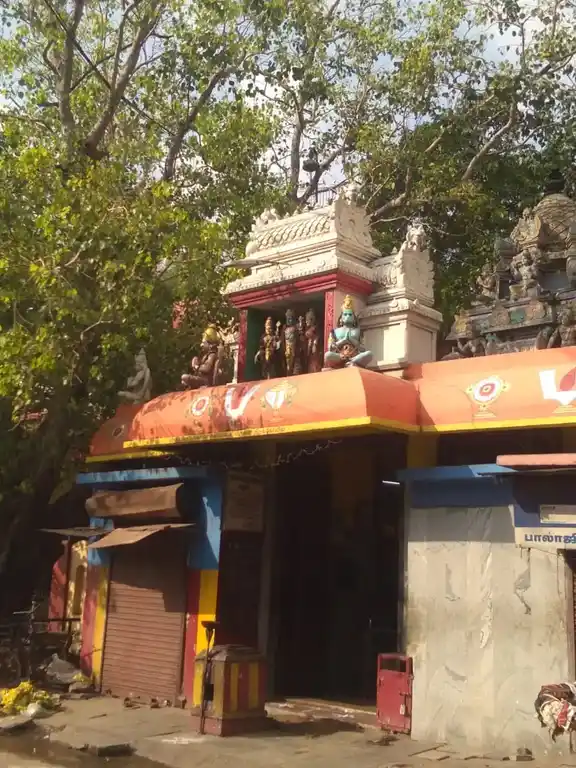 Arulmigu Kalyana Venkatea Perumal Temple, Elephant Gate, Chennai - 600079 அருள்மிகு கல்யாண வெங்கடேச பெருமாள் திருக்கோயில், யானை கவுனி, சென்னை - 600079, Chennai - Ancient Temple Architecture and History Image 2