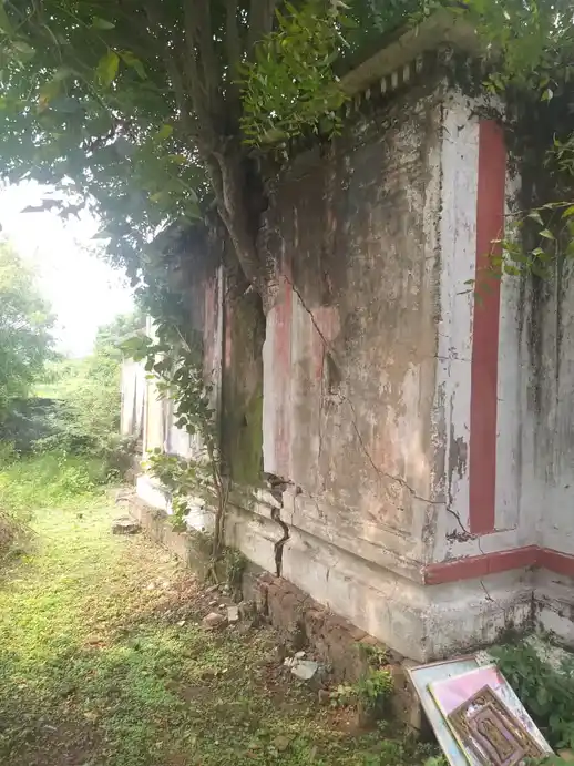 Arulmigu Kalyana Vinkadesa Perumal Temple, Appur - 603204 அருள்மிகு கல்யாணவெங்கடேசப்பெருமாள் திருக்கோயில், ஆப்பூர், Appur - 603204, Chengalpattu - Ancient Temple Architecture and History Image 2