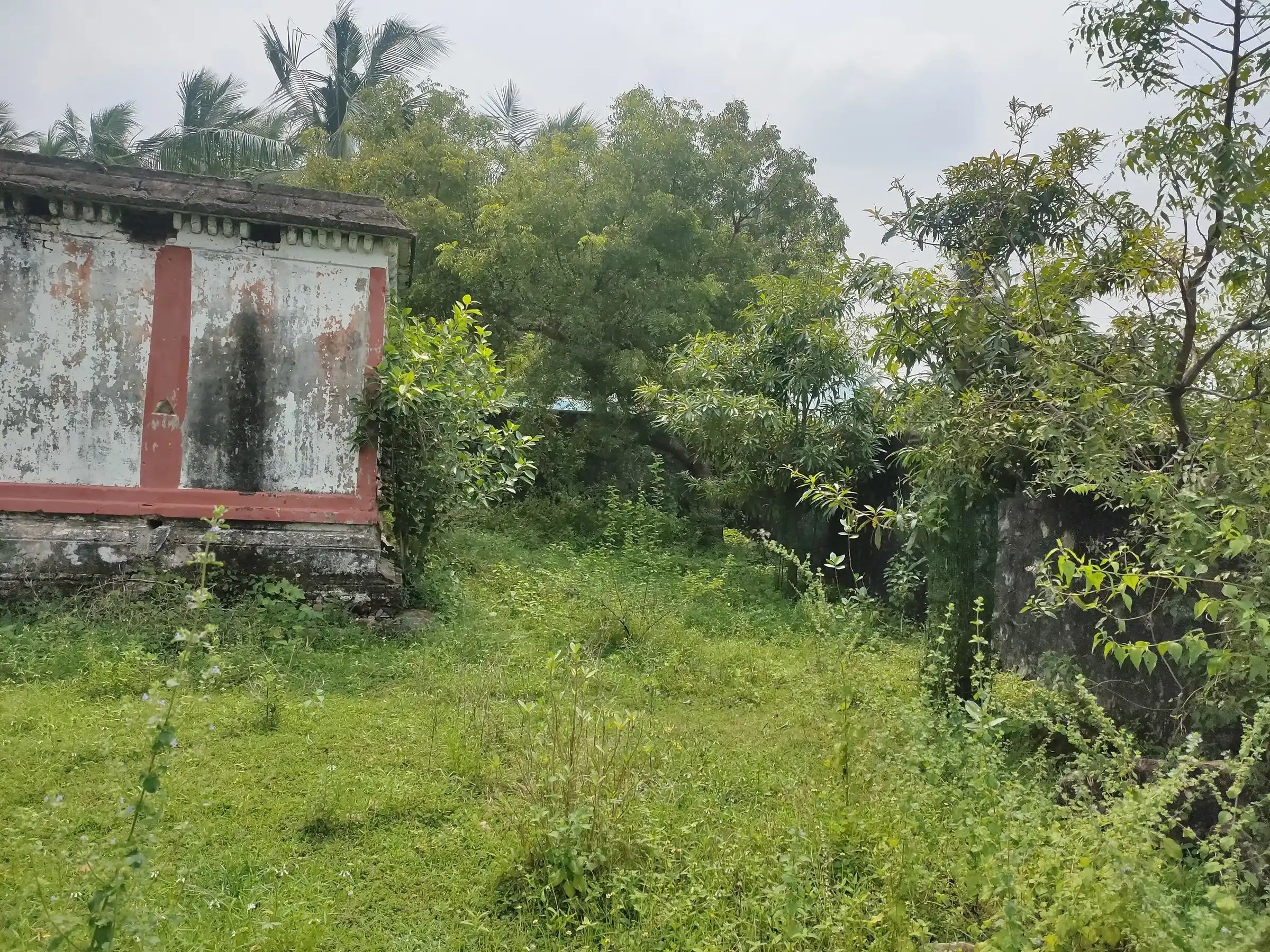 Arulmigu Kalyana Vinkadesa Perumal Temple, Appur - 603204 அருள்மிகு கல்யாணவெங்கடேசப்பெருமாள் திருக்கோயில், ஆப்பூர், Appur - 603204, Chengalpattu - Ancient Temple Architecture and History Image 4