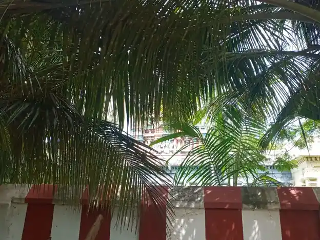 Arulmigu Kalyanaramanathaswamy Temple, Kalyanaramanathapuram - 614612 அருள்மிகு கல்யாணராமநாதசாமி திருக்கோயில், Kalyanaramanathapuram - 614612, Thanjavur - Ancient Temple Architecture and History Image 4