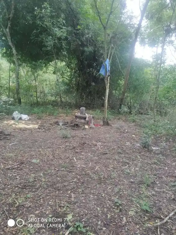 Arulmigu Kalyanasundaresvar Temple, Kodiyalam - 612106 அ/மி.கல்யாண சுந்தரேஸ்வரர் திருக்கோயில், Kodiyalam - 612106, Thanjavur - Ancient Temple Architecture and History Image 4