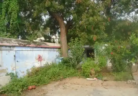 Arulmigu Kalyanavenkatesaperumal Temple, Anaicut - 632114 அருள்மிகு கல்யாணவெங்கடேசப்பெருமாள் திருக்கோயில், அணைக்கட்டு - 632114, Vellore - Ancient Temple Architecture and History Image 6