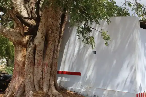 Arulmigu Kalyanavinayagar Temple, Street End, Keelanatham Vadakkoor - 627353 அருள்மிகு கல்யாண விநாயகர் திருக்கோயில், Street End, Keelanatham Vadakkoor - 627353, Tirunelveli - Ancient Temple Architecture and History Image 3