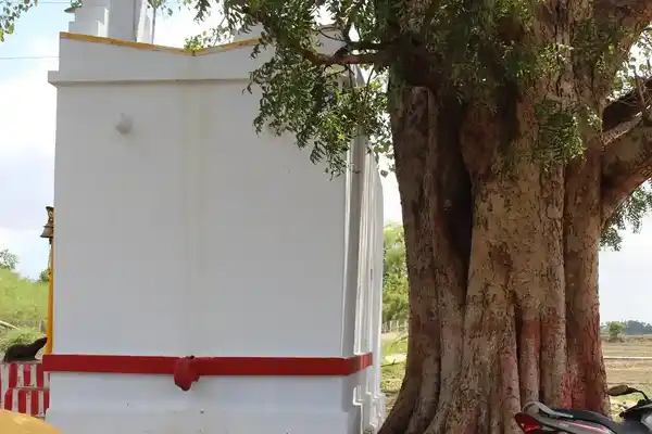 Arulmigu Kalyanavinayagar Temple, Street End, Keelanatham Vadakkoor - 627353 அருள்மிகு கல்யாண விநாயகர் திருக்கோயில், Street End, Keelanatham Vadakkoor - 627353, Tirunelveli - Ancient Temple Architecture and History Image 4