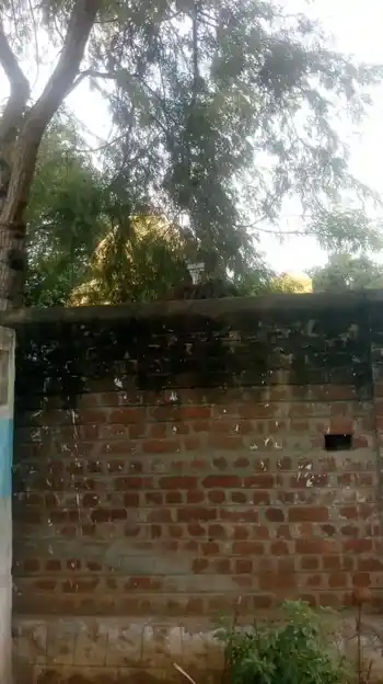 Arulmigu Kamachi Virupatcheeswarar Temple, Kamalapuram - 636309 அருள்மிகு காமாட்சி, விருபாட்சீஸ்வரர் திருக்கோயில், Kamalapuram - 636309, Salem - Ancient Temple Architecture and History Image 4