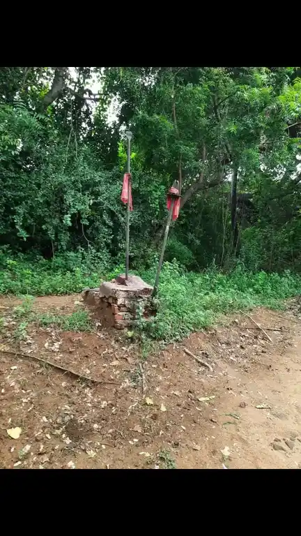 Arulmigu Kamachiamman Temple, Puthukudi - 621601 Arulmigu Kamachiamman Temple, Puthukudi - 621601, Thiruchirappalli - Ancient Temple Architecture and History Image 4