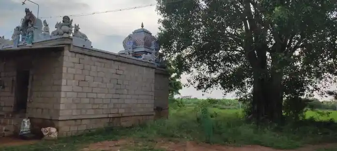 Arulmigu Kamachiyamman Temple, Chinnagowndampattai, Nangavaram - 639107 அருள்மிகு காமாட்சியம்மன் திருக்கோயில், Chinnagowndampattai, Nangavaram - 639107, Karur - Ancient Temple Architecture and History Image 5