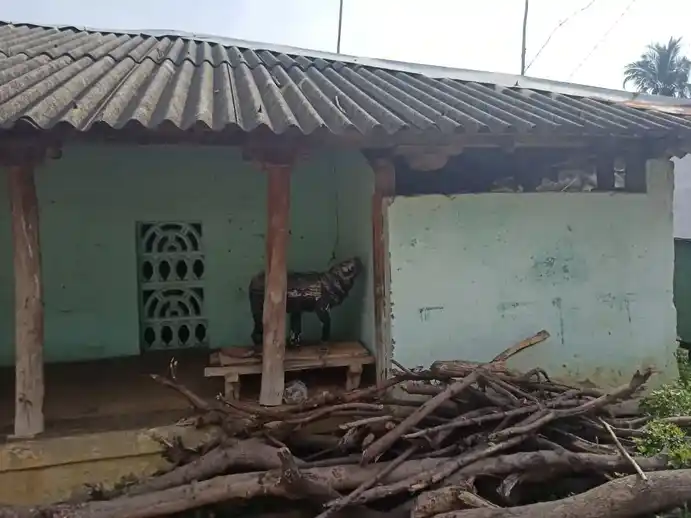 Arulmigu Kamankovil Sathiram, Utkottai - 621901 Arulmigu Kamankovil Sathiram, Utkottai - 621901, Ariyalur - Ancient Temple Architecture and History Image 4