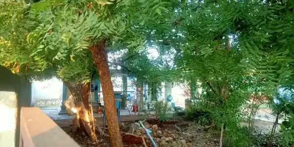 Arulmigu Kamatchi Amman Endra Vijeaswariamman Temple, V M Chathiram - 627011 அருள்மிகு காமாட்சியம்மன் என்ற விஜேஸ்வரியம்மன் திருக்கோயில், V M Chathiram - 627011, Tirunelveli - Ancient Temple Architecture and History Image 4