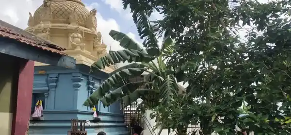 Arulmigu Kamatchi Amman Temple, T.Kosapalayam - 605202 அருள்மிகு காமாட்சியம்மன், அய்யனார், மாரியம்மன், பிடாரி வகையறா திருக்கோயில், T.Kosapalayam, T.Kosapalayam - 605202, Viluppuram - Ancient Temple Architecture and History Image 3