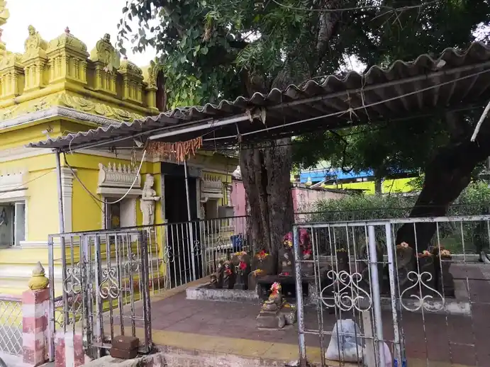 Arulmigu Kamatchiamman And Karpagavinayagar Temple, Karamadai, Coimbatore - 641104 அருள்மிகு காமாட்சியம்மன் மற்றும் கற்பகவிநாயகர் திருக்கோயில், Karamadai, Coimbatore - 641104, Coimbatore - Ancient Temple Architecture and History Image 4