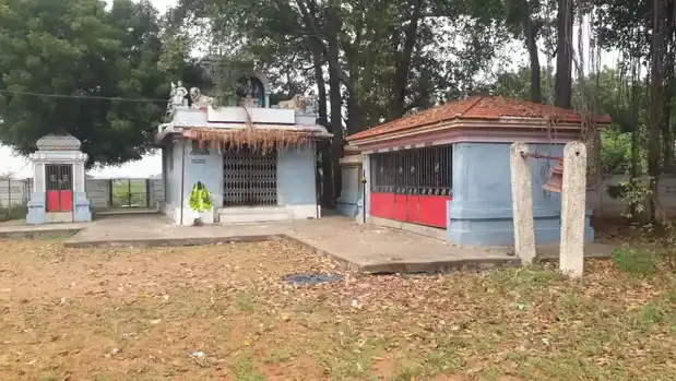 Arulmigu Kamatchiamman Pidari Elankaliamman Temple, Koodalur - 620021 அருள்மிகு காமாட்சியம்மன் பிடாரி இளங்காளியம்மன் திருக்கோயில், Koodalur - 620021, Thiruchirappalli - Ancient Temple Architecture and History Image 3