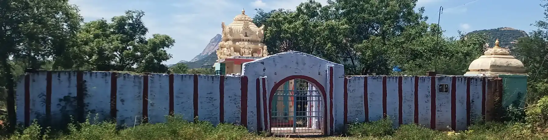 Arulmigu Kamatchiamman Temple, Chinnakkampatty - 624712 அருள்மிகு காமாட்சியம்மன் திருக்கோயில், Chinnakkampatty - 624712, Dindigul - Ancient Temple Architecture and History Image 3