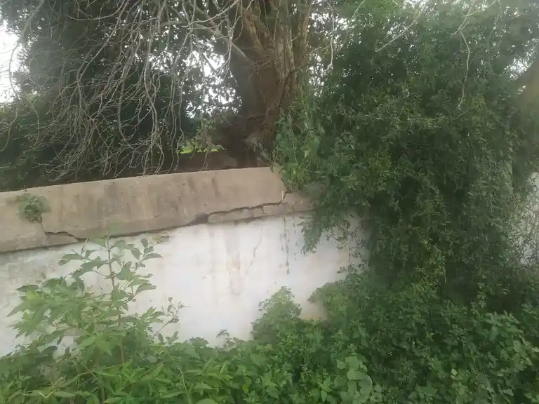 Arulmigu Kamatchiamman Temple, Kallappalli - 639105 அருள்மிகு காமாட்சியம்மன் திருக்கோயில், Kallappalli - 639105, Karur - Ancient Temple Architecture and History Image 6