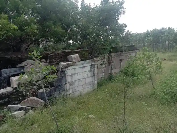 Arulmigu Kamatchiamman Temple, Kookalancheri - 625706 Arulmigu Kamatchiamman Temple, Kookalancheri - 625706, Madurai - Ancient Temple Architecture and History Image 9
