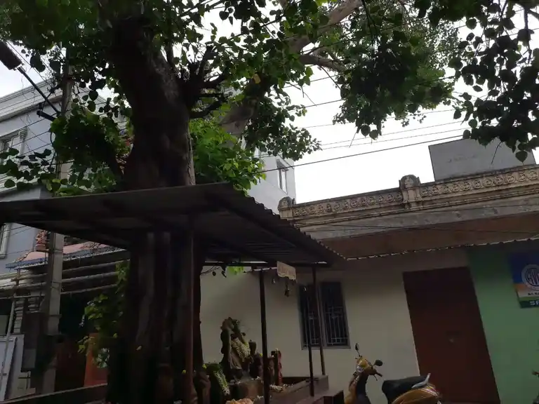 Arulmigu Kamatchiamman Temple, R.S.Puram - 641002 அருள்மிகு காமாட்சியம்மன் திருக்கோயில், ஆர்.ஸ்.புறம் - 641002, Coimbatore - Ancient Temple Architecture and History Image 4