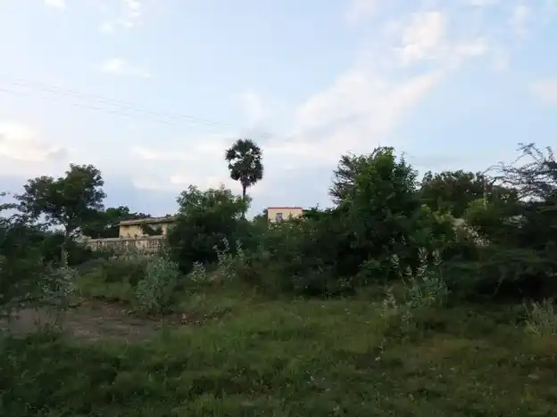 Arulmigu Kamatchiyamman Temple, Abinimangalam - 621007 Arulmigu Kamatchiyamman Temple, Abinimangalam - 621007, Thiruchirappalli - Ancient Temple Architecture and History Image 2