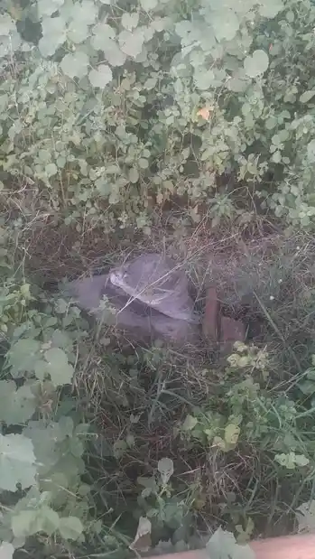 Arulmigu Kamatchiyamman Temple, Kalpalayam - 621005 Arulmigu Kamatchiyamman Temple, Kalpalayam - 621005, Thiruchirappalli - Ancient Temple Architecture and History Image 7
