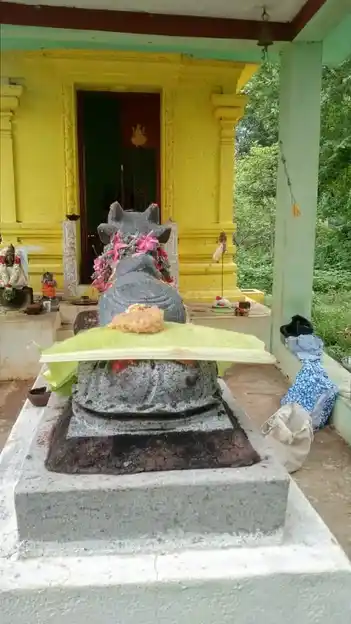 Arulmigu Kamatchiyamman Temple, Kodangipatti - 625503 காமட்சி அம்மன் திருக்கோயில், கோடாங்கிபட்டி - 625503, Madurai - Ancient Temple Architecture and History Image 4