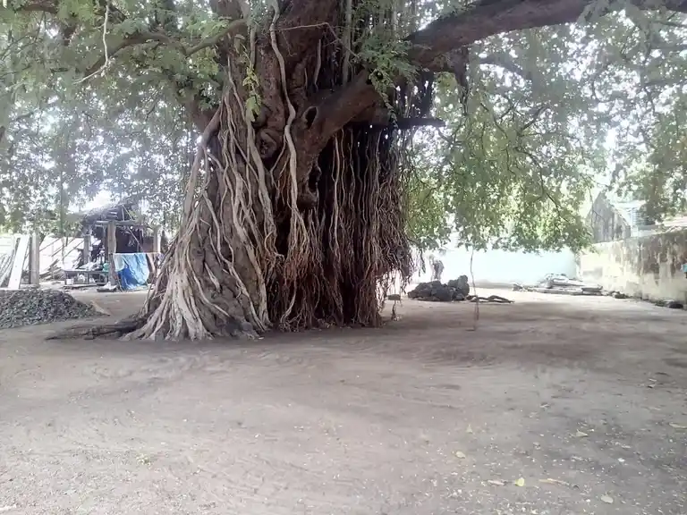 Arulmigu Kamatchiyamman Temple, Manamelkudi - 614620 அருள்மிகு காமாட்சியம்மன் திருக்கோயில், Manamelkudi - 614620, Pudukkottai - Ancient Temple Architecture and History Image 2