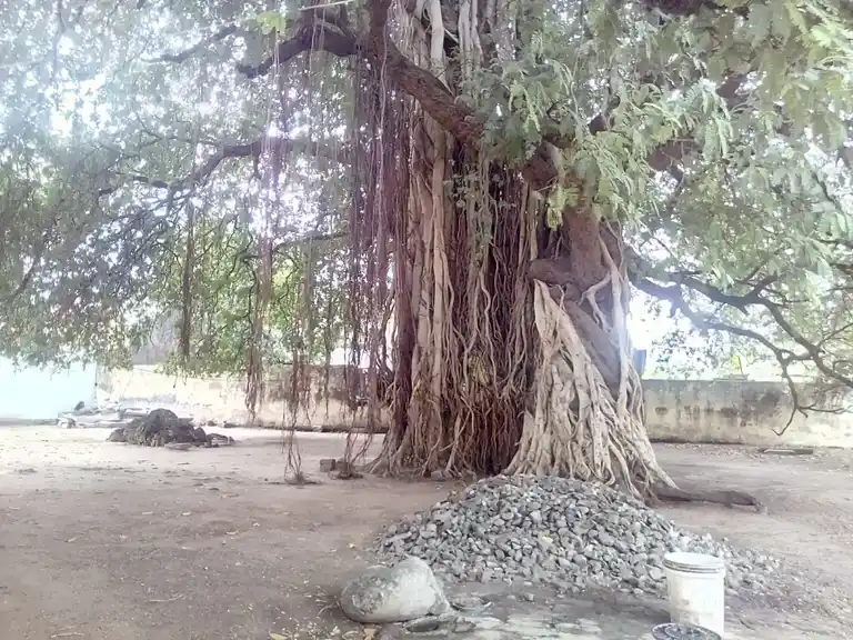 Arulmigu Kamatchiyamman Temple, Manamelkudi - 614620 அருள்மிகு காமாட்சியம்மன் திருக்கோயில், Manamelkudi - 614620, Pudukkottai - Ancient Temple Architecture and History Image 3