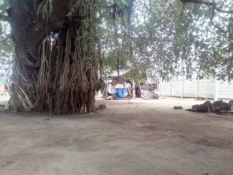 Arulmigu Kamatchiyamman Temple, Manamelkudi - 614620 அருள்மிகு காமாட்சியம்மன் திருக்கோயில், Manamelkudi - 614620, Pudukkottai - Ancient Temple Architecture and History Image 4