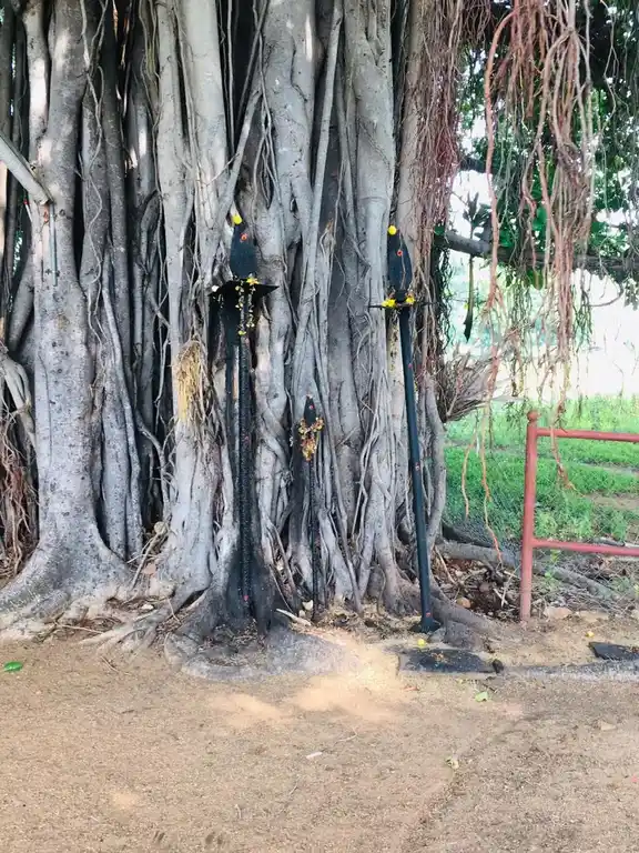 Arulmigu Kamatchiyamman Temple, Mathur - 622515