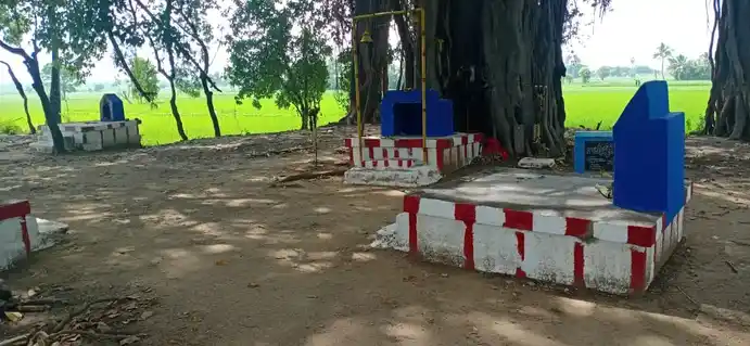 Arulmigu Kamatchiyamman Temple, Melaseethevimangalam - 621112 Arulmigu Kamatchiyamman Temple, Melaseethevimangalam - 621112, Thiruchirappalli - Ancient Temple Architecture and History Image 6