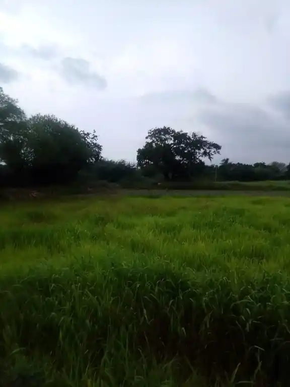 Arulmigu Kamatchiyamman Temple, Periyakattukulam - 621211 Arulmigu Kamatchiyamman Temple, Periyakattukulam - 621211, Thiruchirappalli - Ancient Temple Architecture and History Image 3