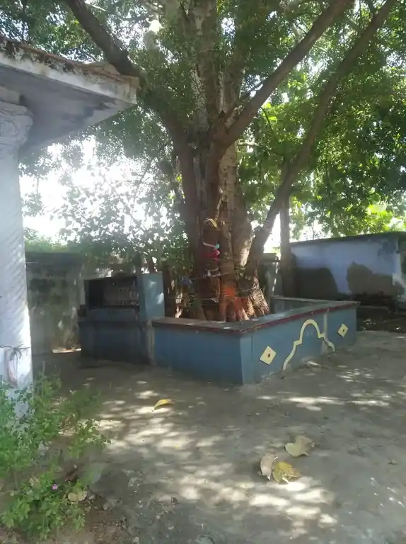 Arulmigu Kamatchiyamman Udanurai Panchalingeshwarar Temple, Kondapuram - 631102 அருள்மிகு காமாட்சி உடனுறை பஞ்சலிங்கேசுவரர் திருக்கோயில், கொண்டாபுரம் - 631102, Ranipet - Ancient Temple Architecture and History Image 7