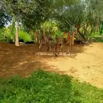 Arulmigu Kambalathamman Temple, Beemanpalayam, Pagadappadi - 636105