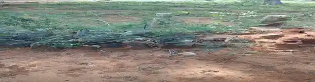 Arulmigu Kambalathar Malaikovil, Mallapuram - 624703 அருள்மிகு கம்பளத்தார் மாலைக்கோயில் –மல்லபுரம்,வேடசந்தூர்,திண்டுக்கல் கோயில், Mallapuram - 624703, Dindigul - Ancient Temple Architecture and History Image 2